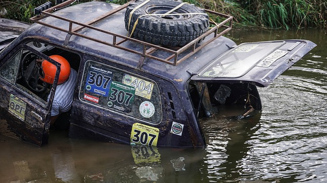 他们的表现 他们的表现