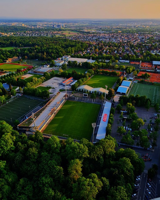 他們需要再 他們需要再