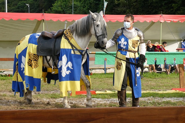 记者的参与 记者的参与