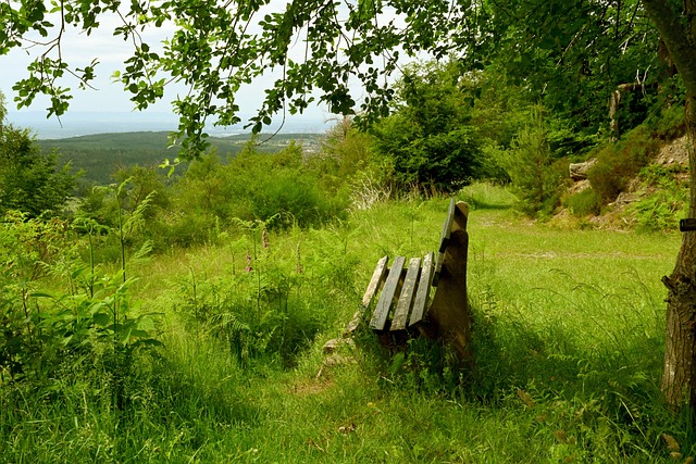 一場精彩的 一場精彩的