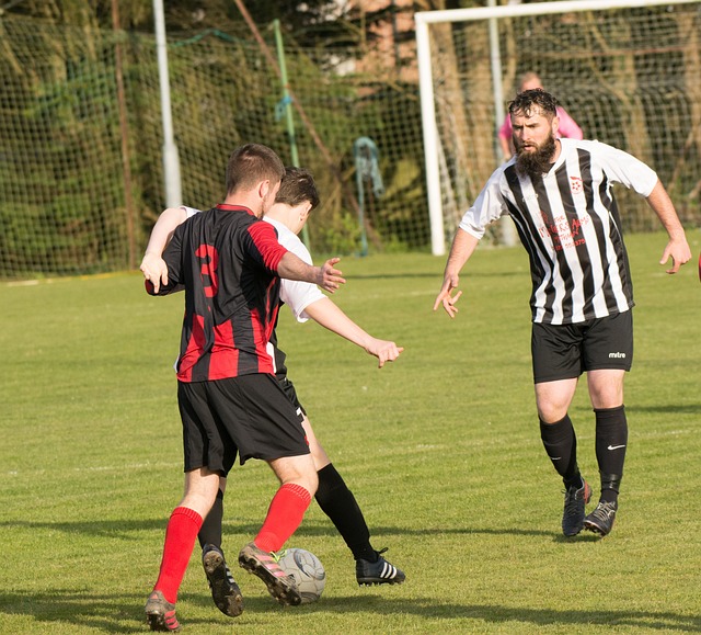 通过举办多 通过举办多