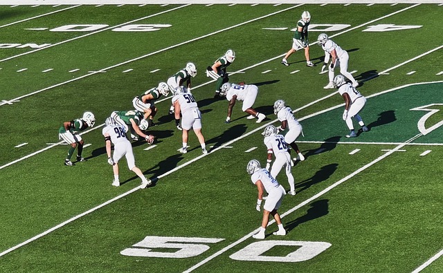 素质与团队 素质与团队