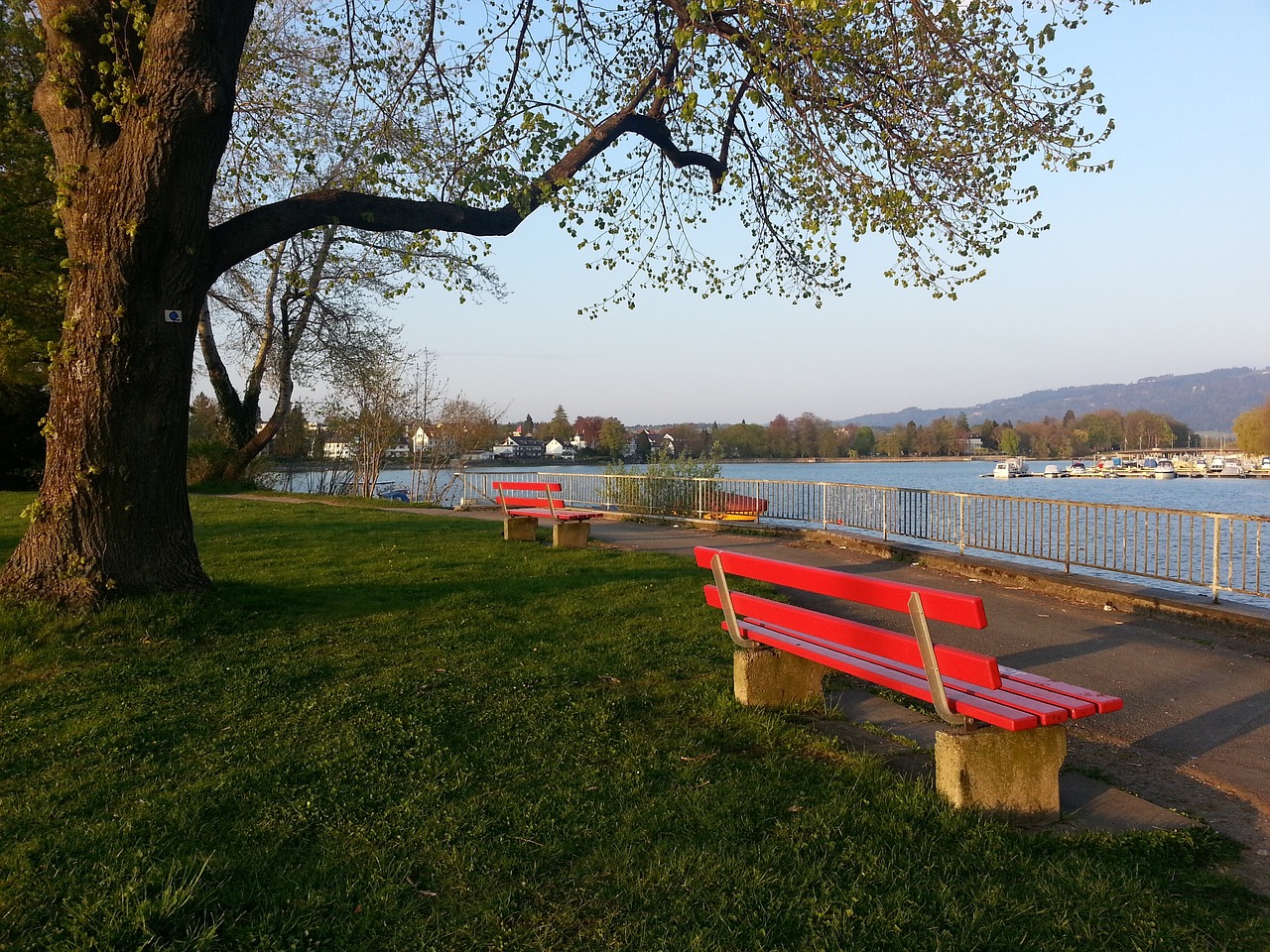 職業足球界 職業足球界