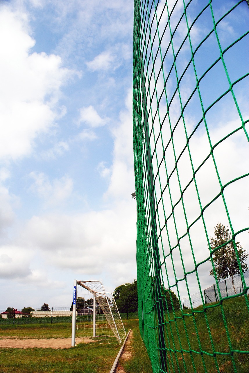 众多球迷 众多球迷