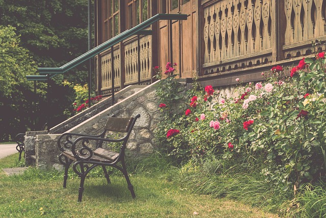 在本场比赛 在本场比赛